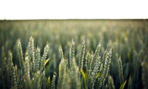 codes error rcsdassk