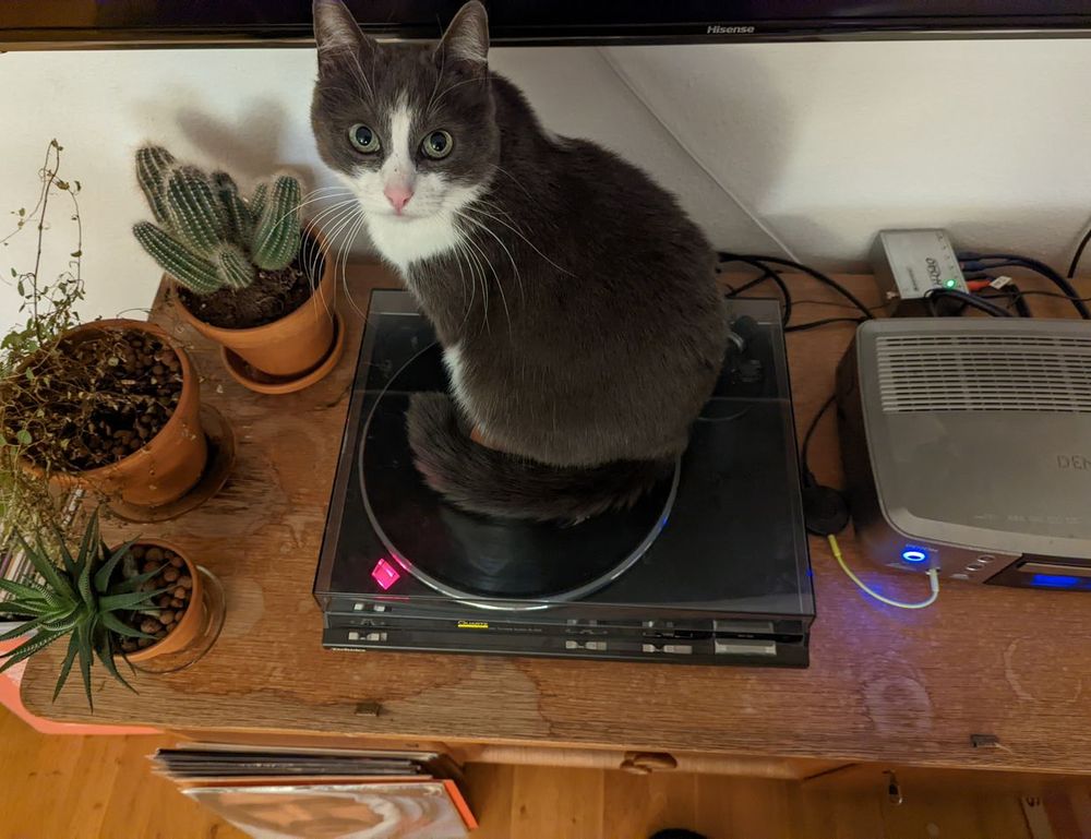 highlights of nummazaki