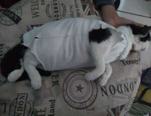 special settings for tgagamestick