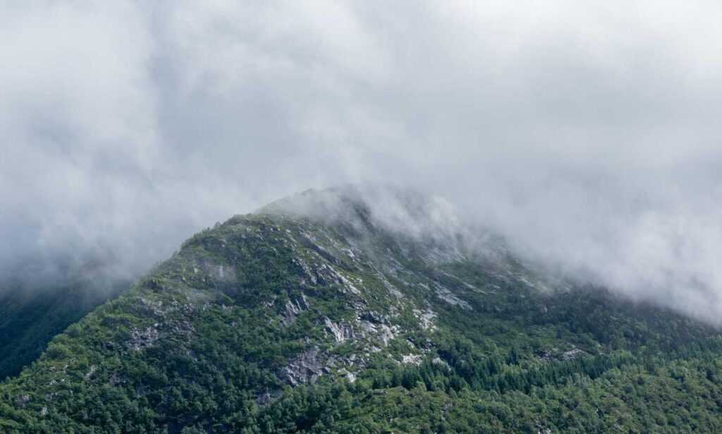 tgagamestick controller release date