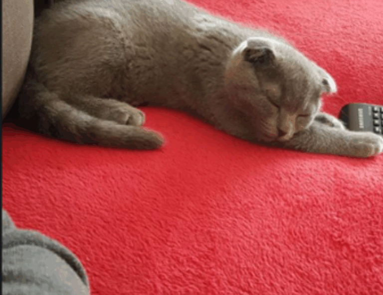 bfncplayer gamers guide by befitnatic