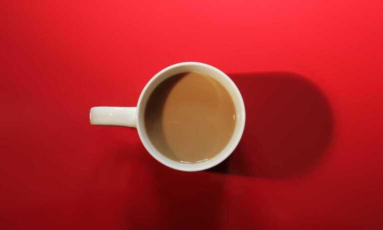 new updates bfncplayer