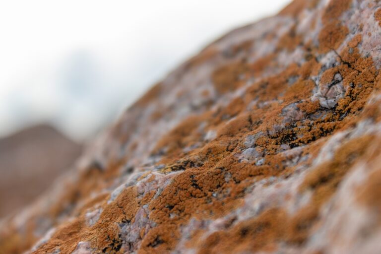 tgarchirvetech gaming news