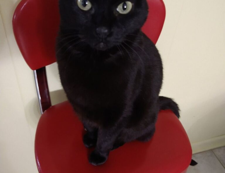 tgarchirvetech gaming trends