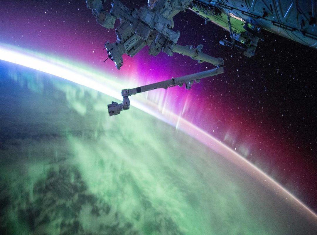 Category 4: The 'Rules Don't Apply to Me' Crowd