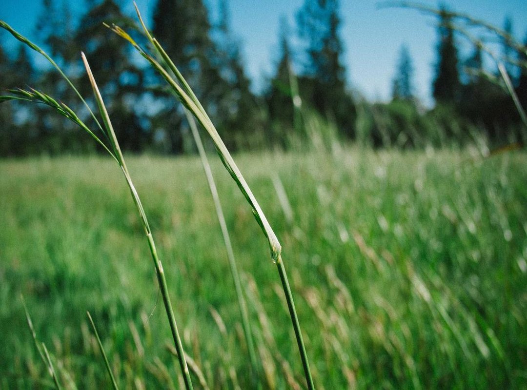 Popular Activities: Hiking and Cycling Routes