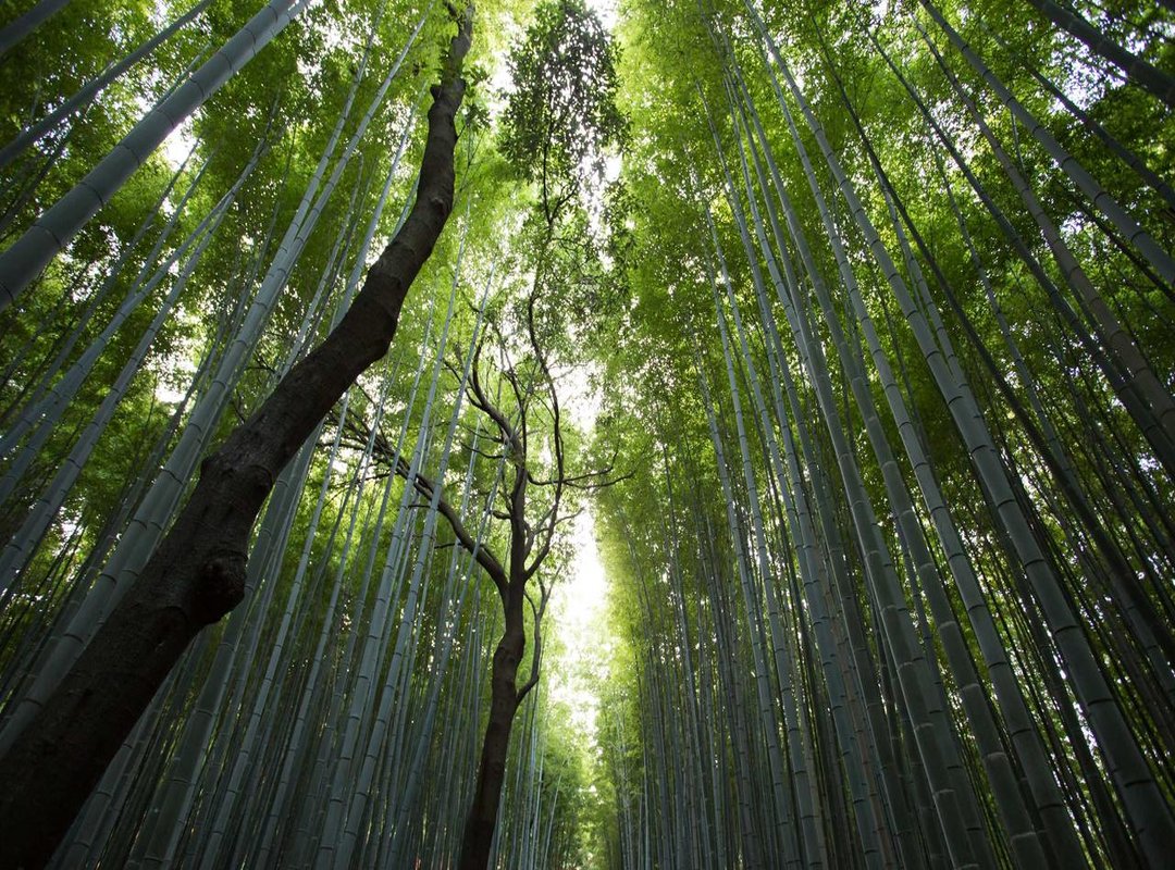 Comparing Corporate Massage Models: Which Fits Your Business?