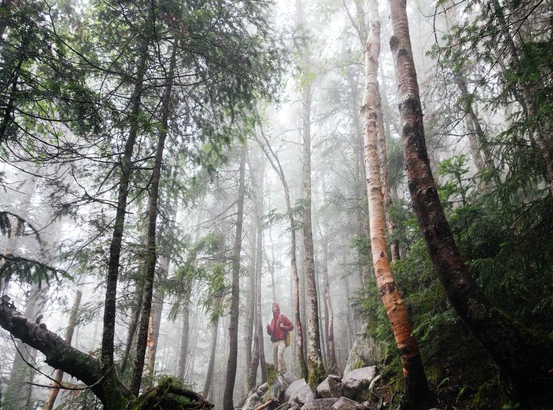 The Cultural Context: Why People Are So Curious