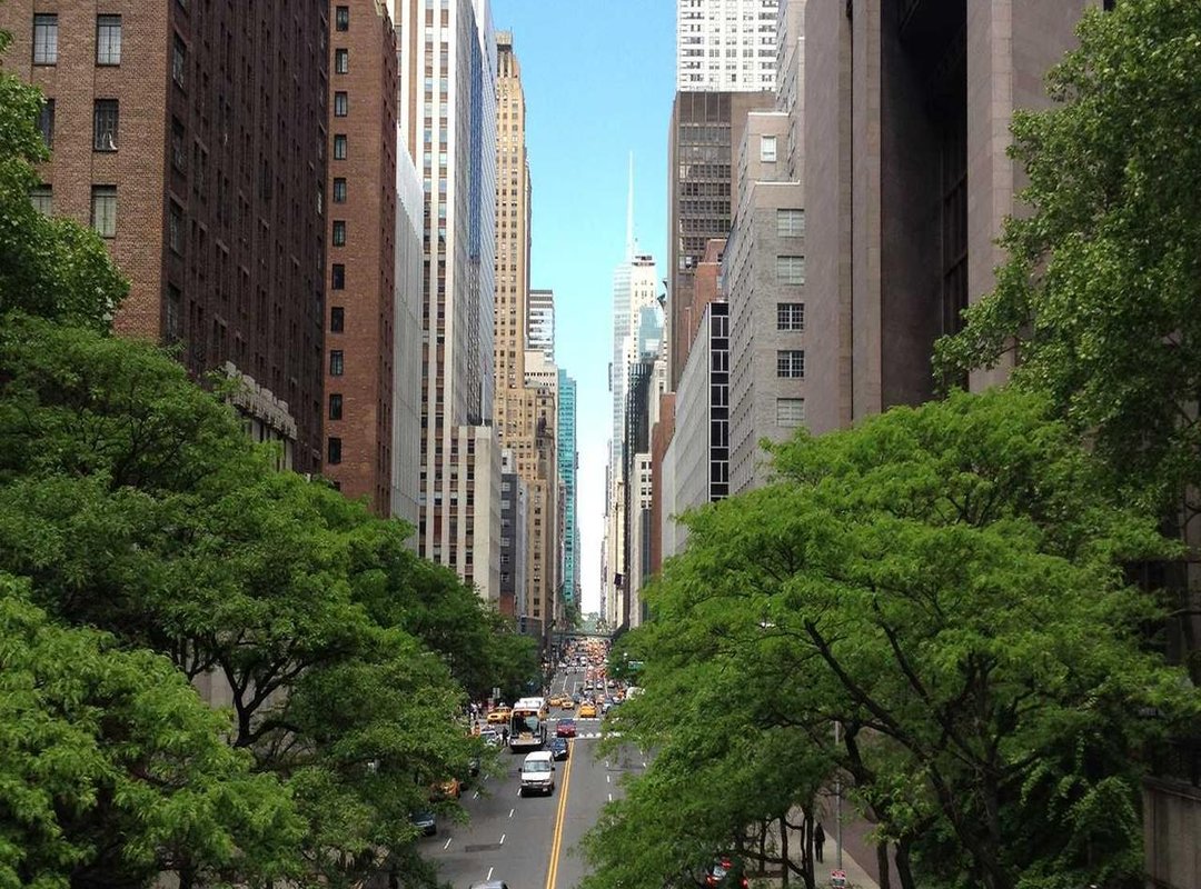 How to Make Authentic Blue Waffle Tauti: A Step-by-Step Guide