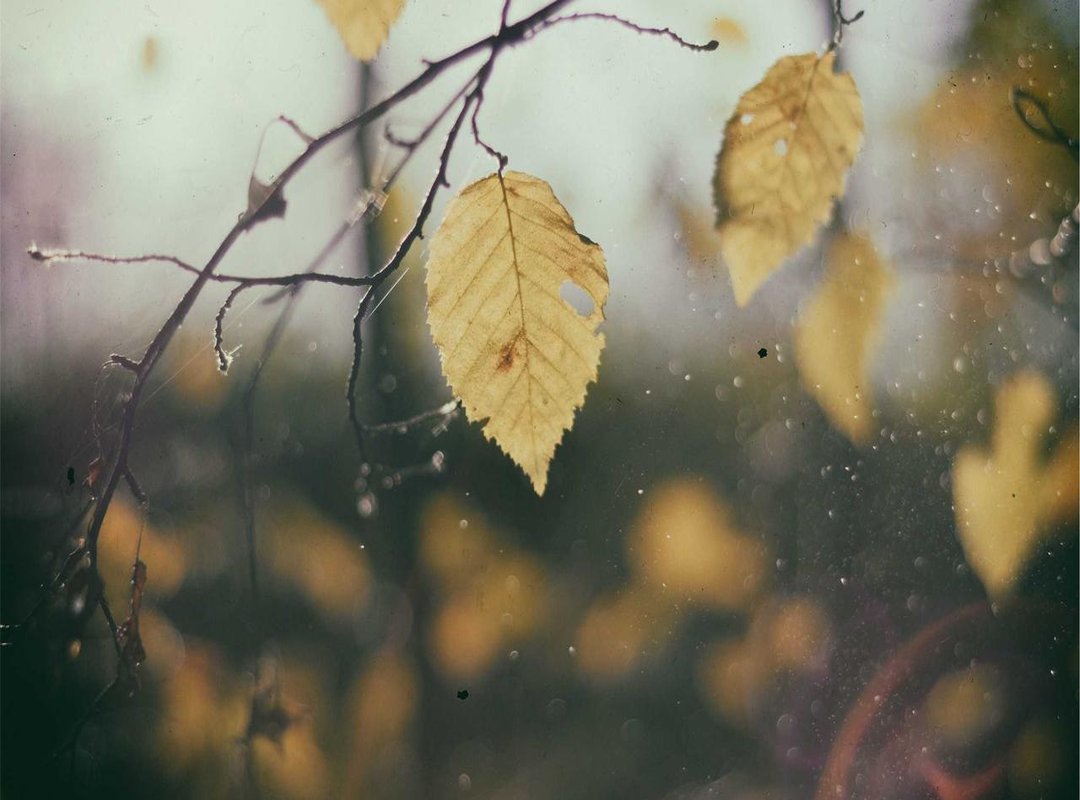 How to Create Anxiety Art: Step-by-Step Guide