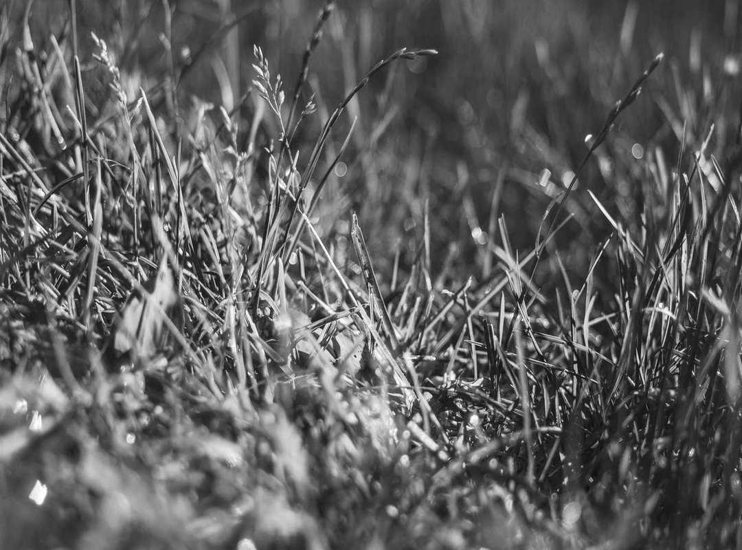 Beyond Appearances: Cultivating Kindness, Respect, and Social Skills