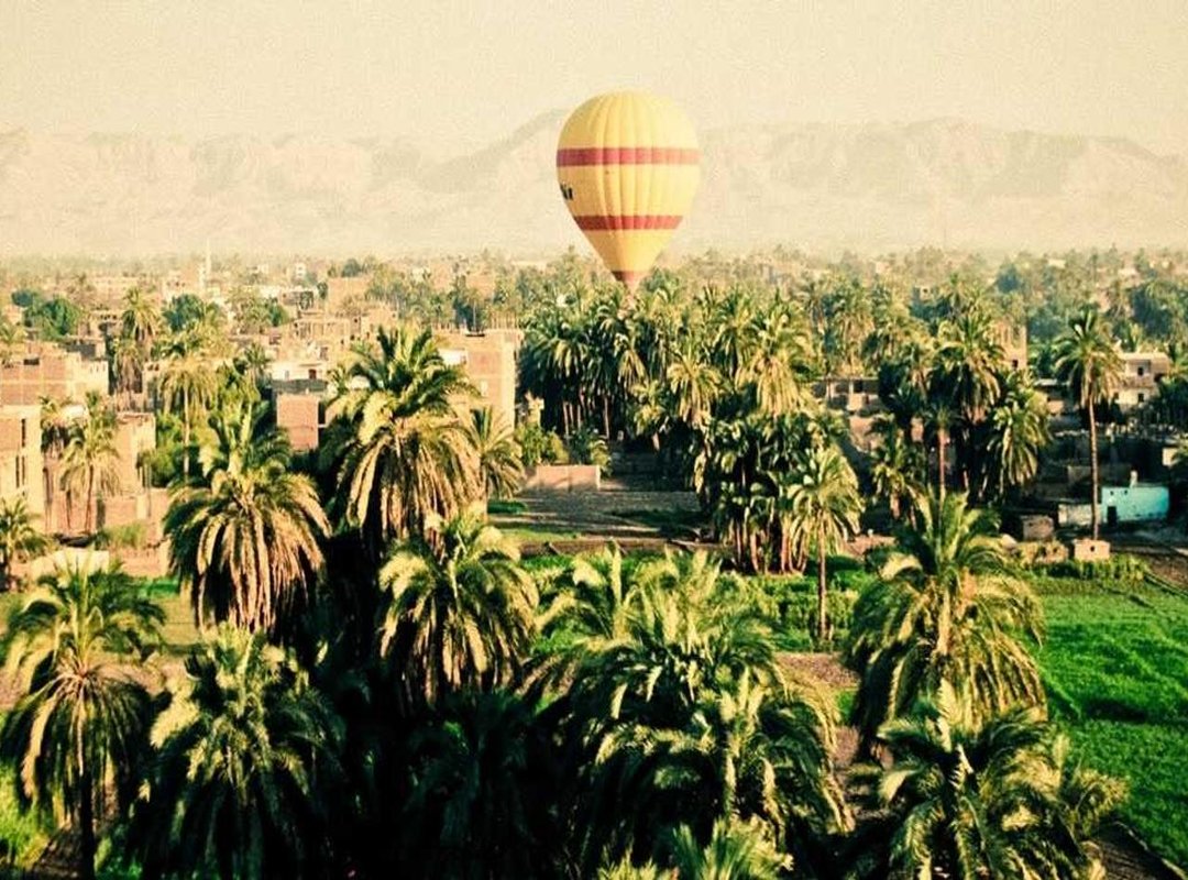 From Sports Infamy to Internet Meme: The GIF's Second Life