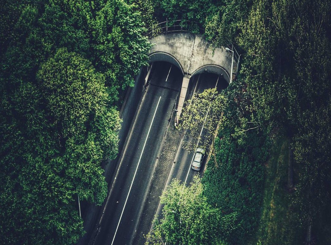 How to Draw 3 Iconic Preppy Designs (Step-by-Step)